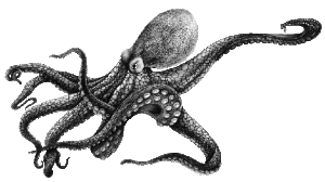 logo octopussy