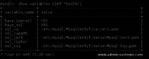 sortie bash mysql requete serveur ok