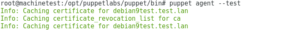 puppet agent debian test ok